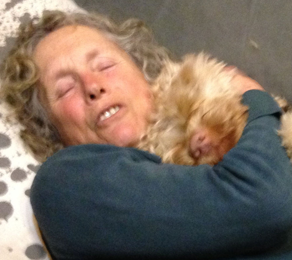 Hugging releases Oxytocin