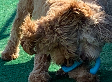 Muppet Tug