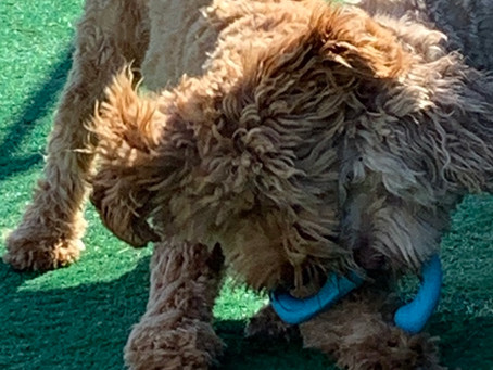 Muppet Tug