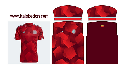 COLOMBIA VISITA 2022.PNG