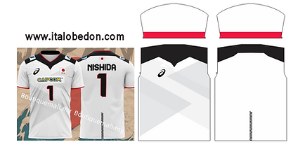 JERSEY JAPON 2022.PNG