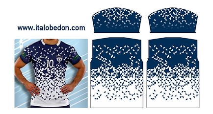 FRANSPORT DIAMANTE.PNG