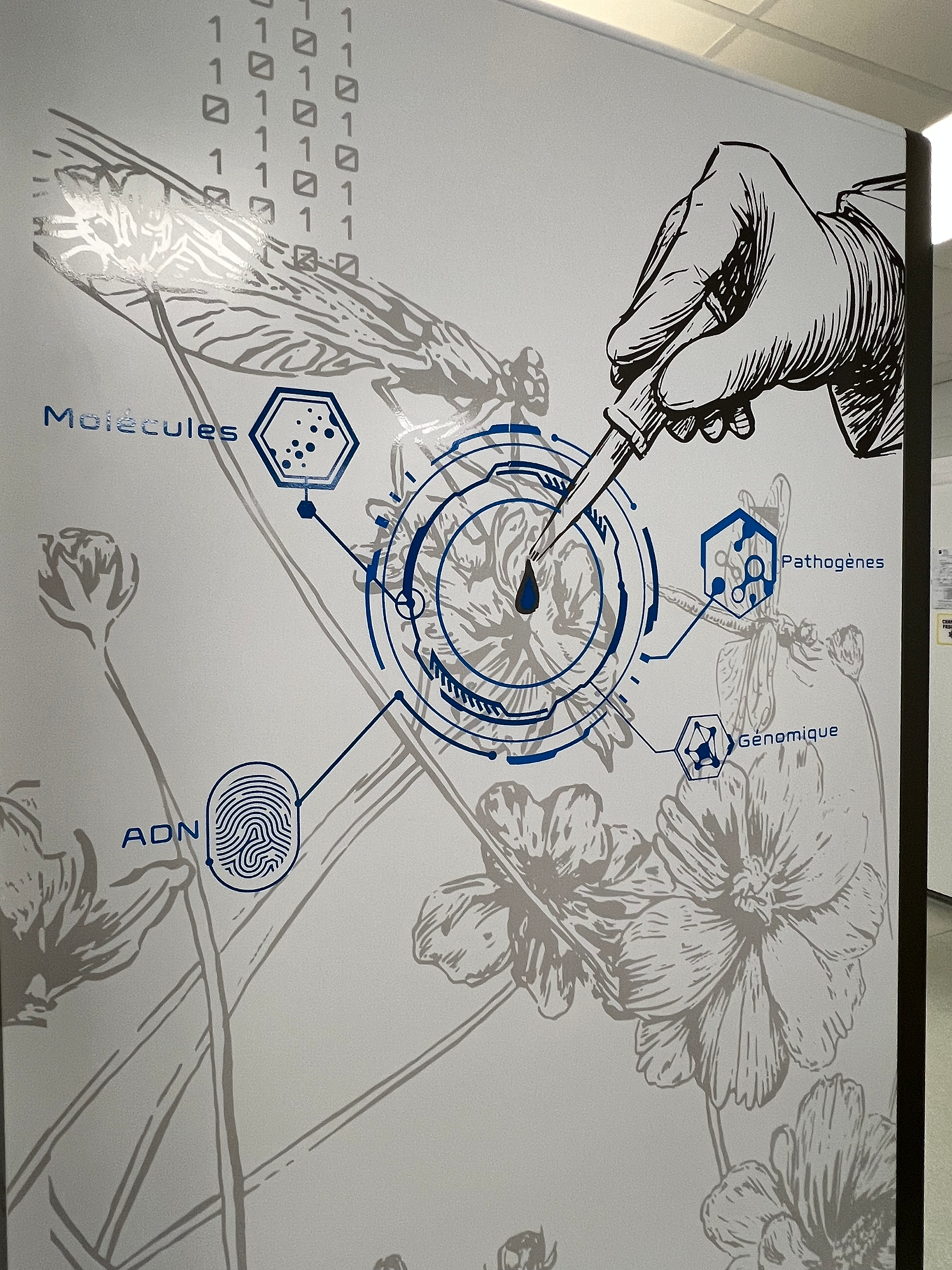 STUDIO VÉBÉ  • Fresque d'art mural au design contemporain pour Laboratoire médical à Metz