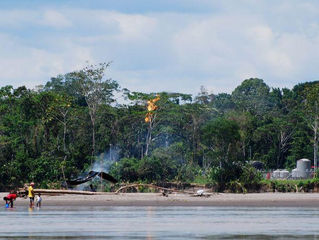 Isoler les puits de pétrole permettrait une meilleure protection de l'Amazonie / Le Figaro, 30/01/15