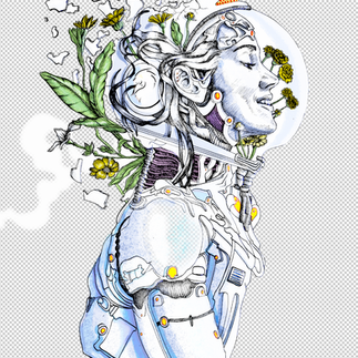 STUDIO VÉBÉ • Illustration affiche Festival Constellations Ville de Metz direction artisitique
