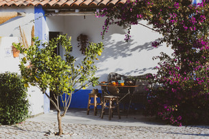 Casa tudo bem