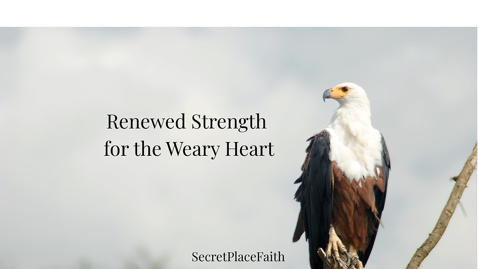 Bald eagle in flight against gray sky with text: Renewed Strength for the Weary Heart and website secretplacefaith.com.