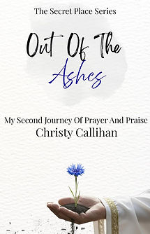 Out Of The Ashes Book Cover.jpg