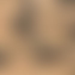 Tipos de viagens que você não deve deixar de fazer