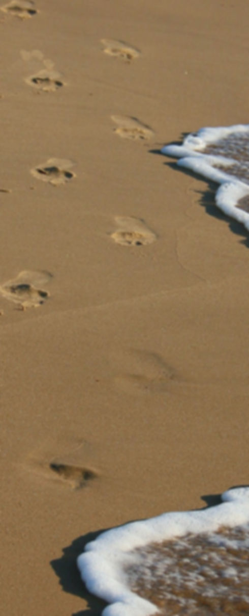 strand-3483542_1920.jpg