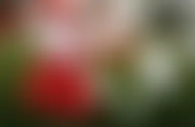 School News 27th February 2026