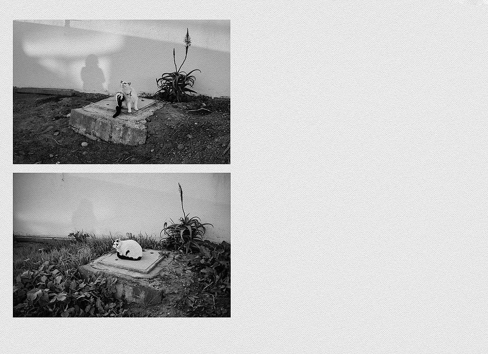 Actos de Quietud y Resistencia, Covid Photographic Serie, Fran Nunez Photographer