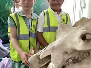 School News 27th June 2025