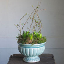 Verdley Midhurst West Sussex