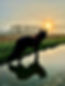 IMG_5187.jpeg