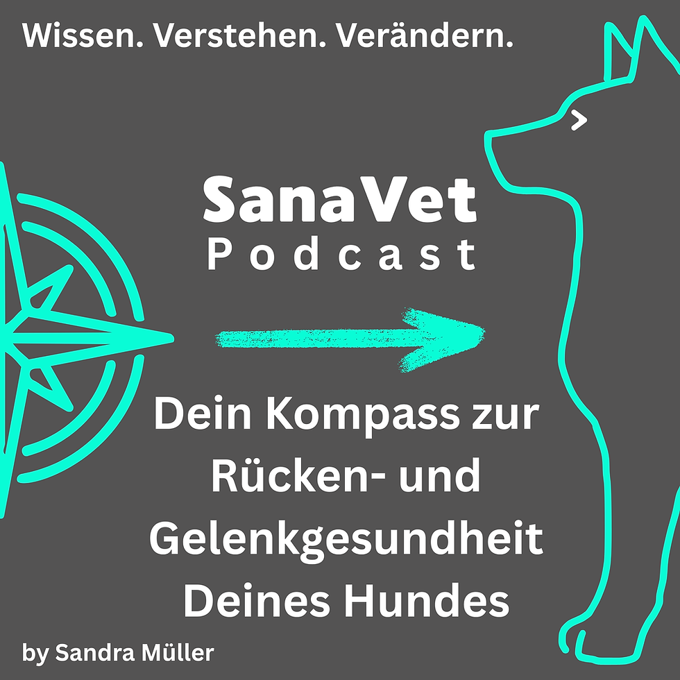 Podcast Cover.png
