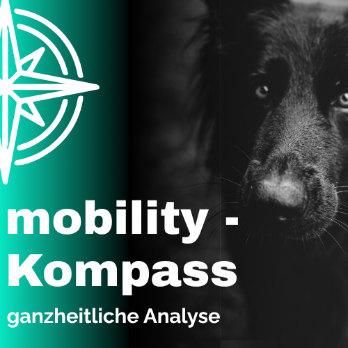 mobility - Kompass