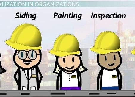 Business Activity: Specialization in Providing Goods & Services (1.2)