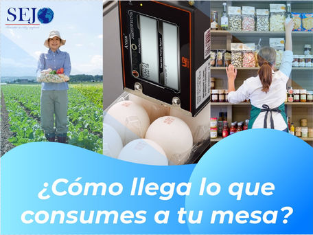 ¿Cómo llega lo que consumes a tu mesa? Descubre más sobre el proceso de los productos que consumes.