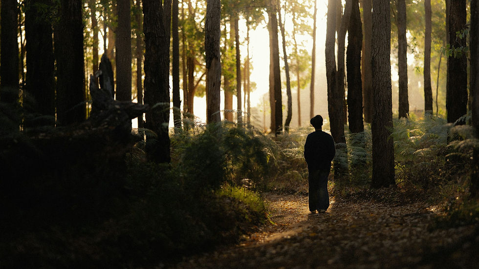 A person walking a forest path in morning light, representing the repeated choices that become habits.