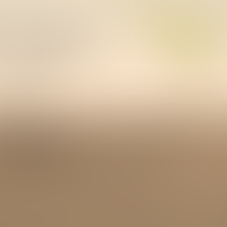 Stay Rooted When the World Shakes