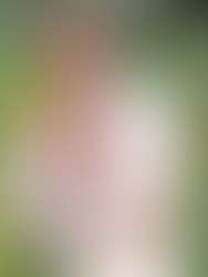 Ricky Martin. (Credit: Neilson Barnard/Getty)