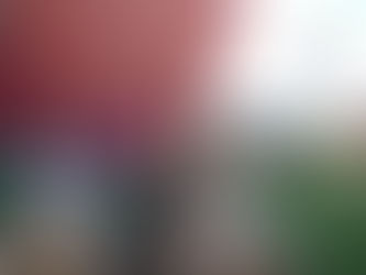 Brandon TV Stars Shine at Coachella 2026 Weekend 1