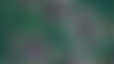 The Profound Impact of Technology in Our Lives