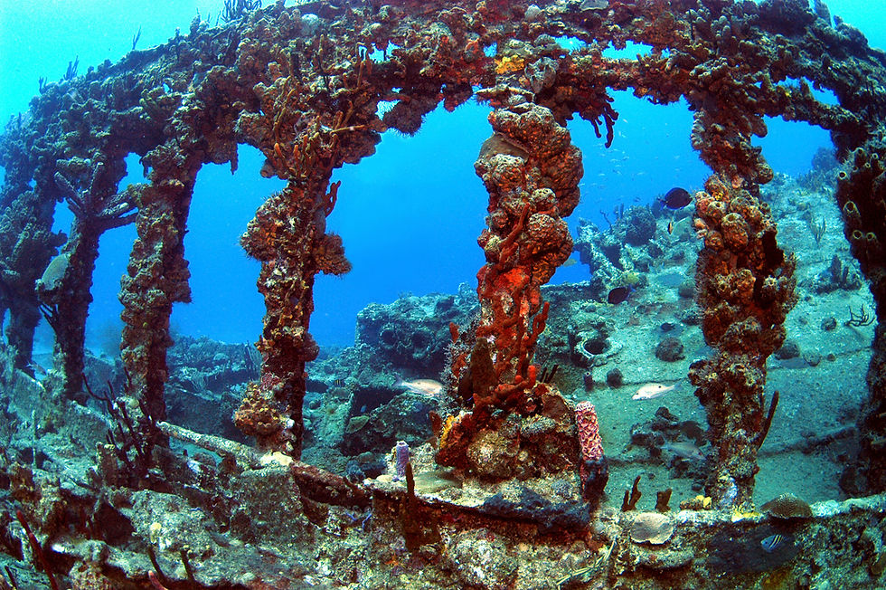 Wreck of the RMS Rhone Marine Park