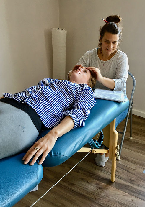 kinesiology training.jpeg