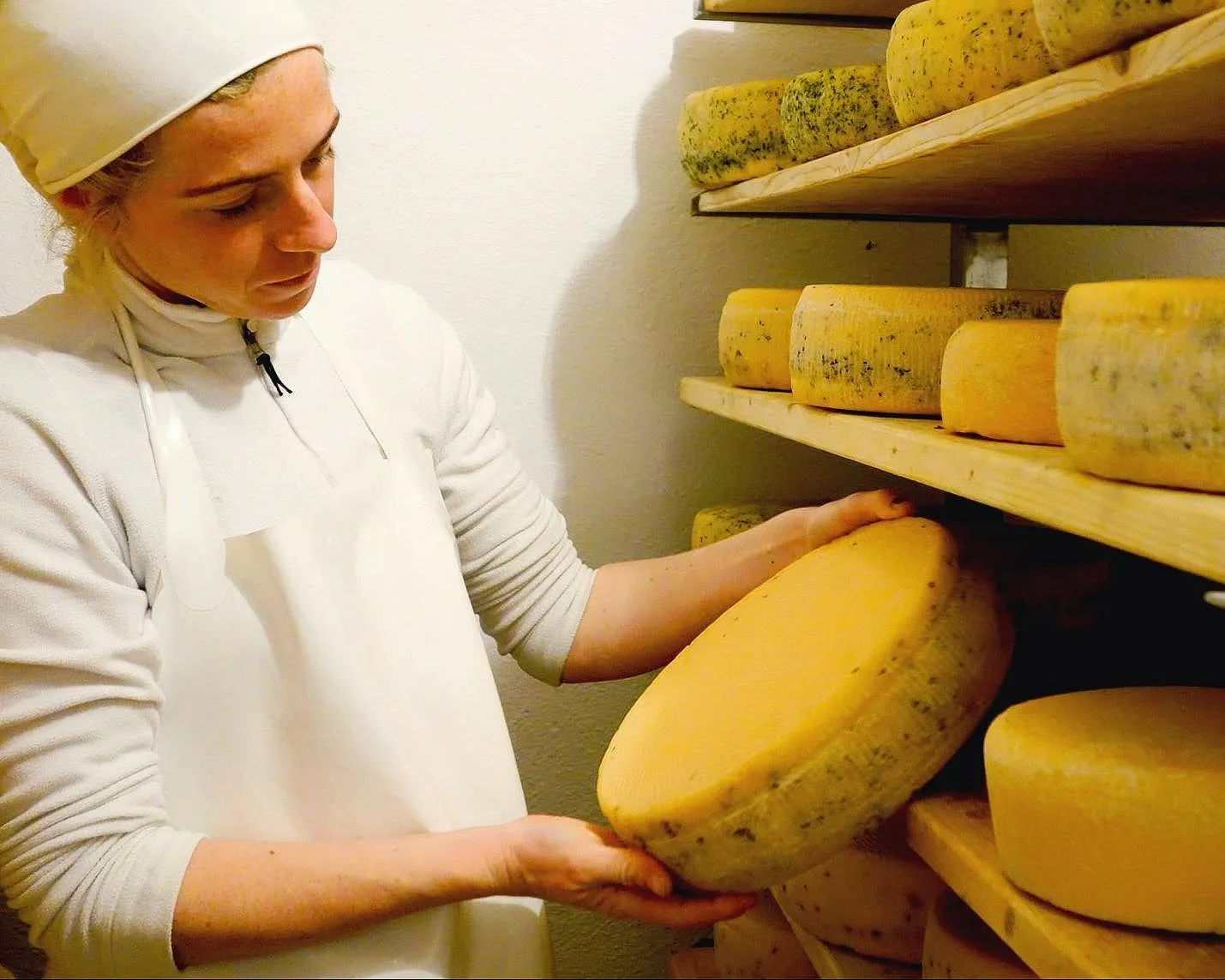 Käse-Tasting mit Vera