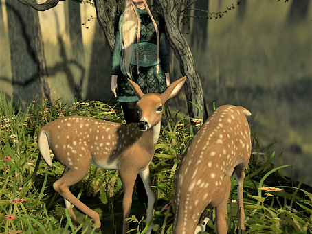 In the woods