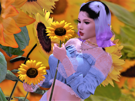Sunflower Haze