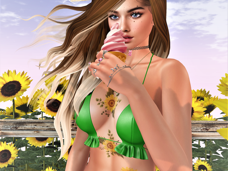 Sunflower