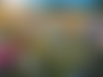 Unlocking the Secrets of Landscapes with Mal Crawford Photography