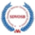cve_completed_s_edited_edited_edited_edited.jpg