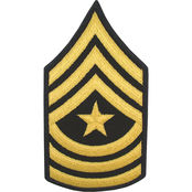 Thumbnail: ASU, Chevron, Enlisted - Female