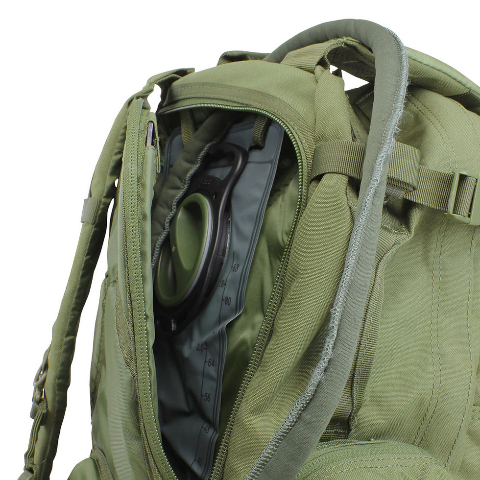 Thumbnail: 3 Day Assault Pack