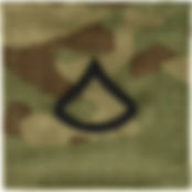 Thumbnail: OCP - Army Combat Uniform Package (FEMALE)