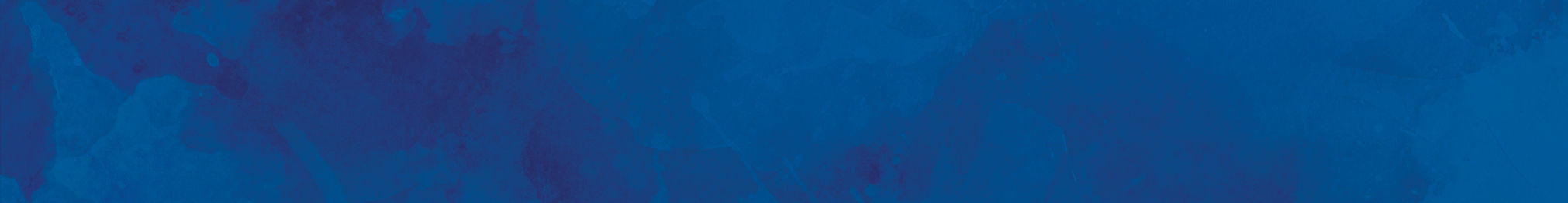 Presentation Background 2.jpg
