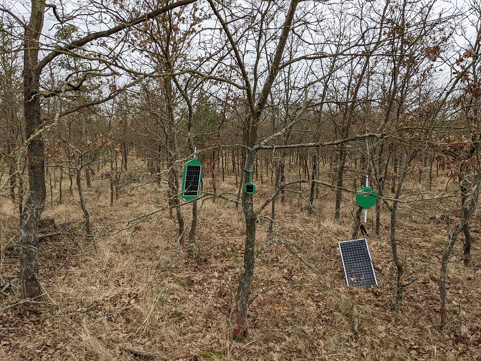 Silvanet system setup