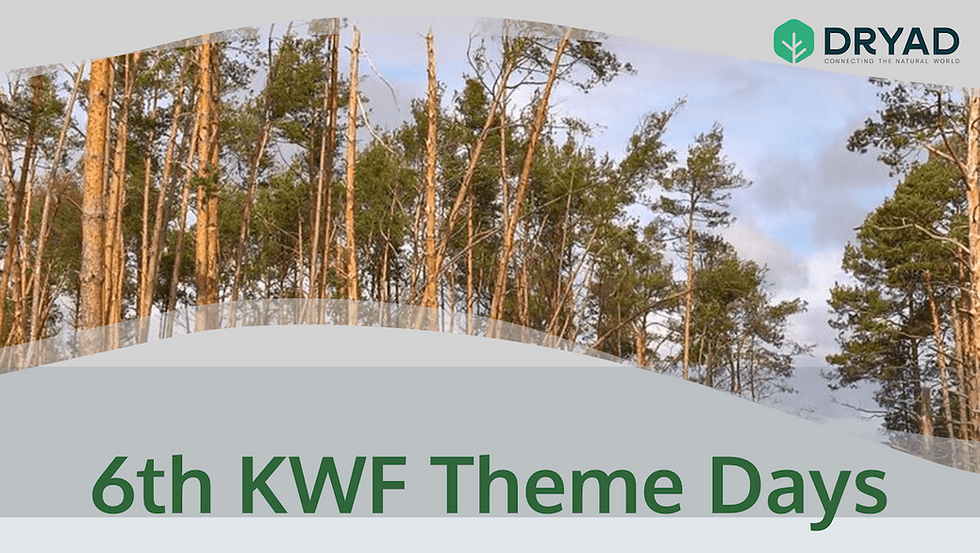Dryad exhibiting at the 6th KWF Theme Days