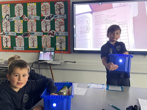 Science Week - Light