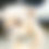 Thumbnail: Pet Portraits