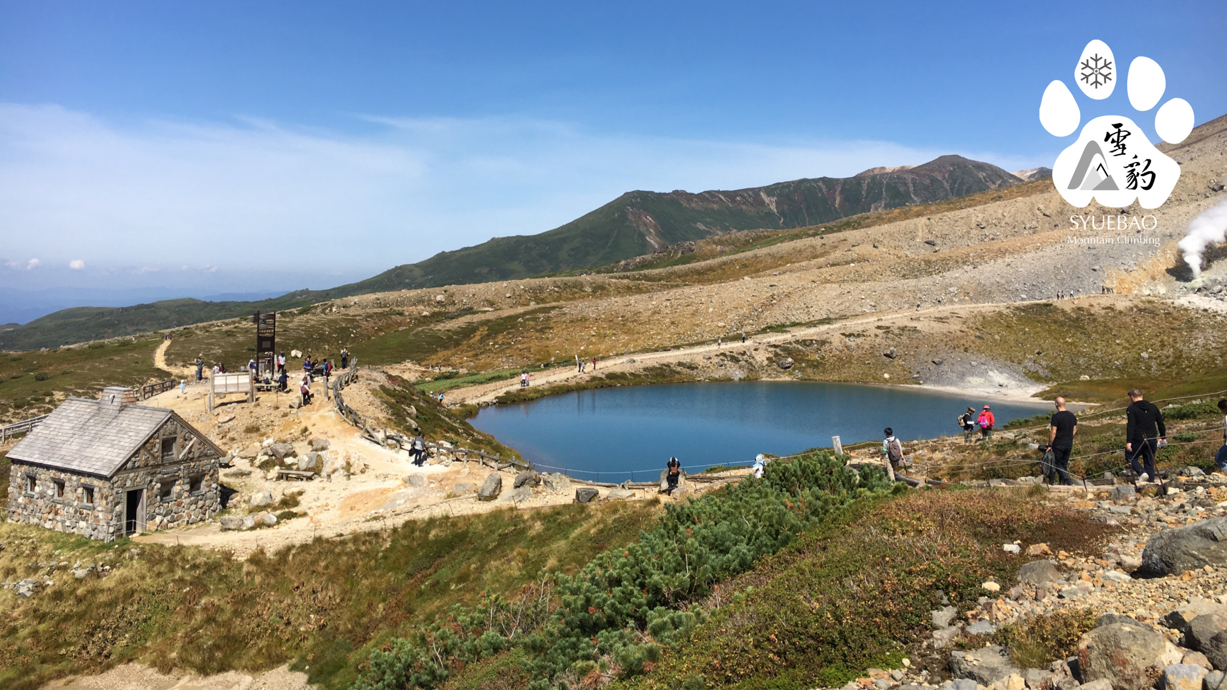 極貴重標本】ダイセツタネカゲ2ex標本☆大雪山北海道産☆規制以前採集
