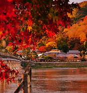 嵐山度橋_紅葉.png
