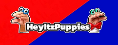 HeyItzPuppies