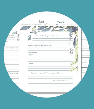 Brochure reflect image.PNG