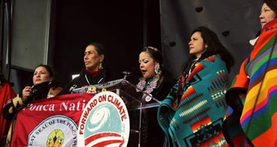 Canadian Boreal Forests