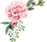 Schirin Chams-Diba Flower